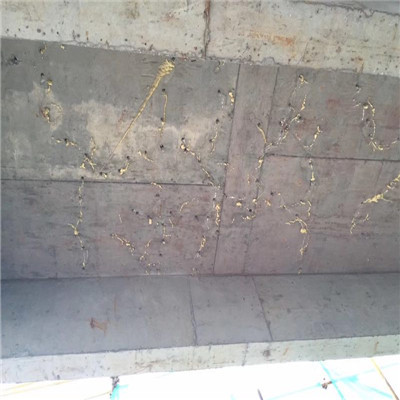 �ǰ��ѿp�۰�����©